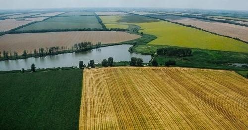 Вячеслав Легкодух, полномочный представитель губернатора Краснодарского края, провел конструктивную встречу в администрации Новотитаровского поселения