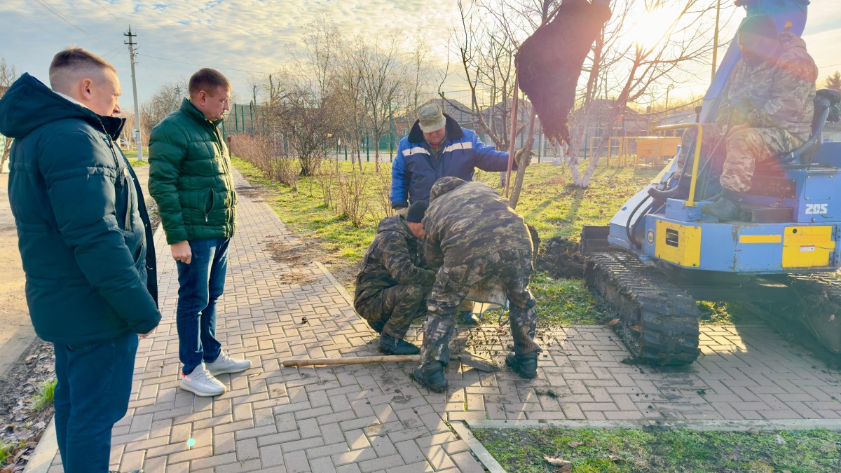 Озеленение сквера 